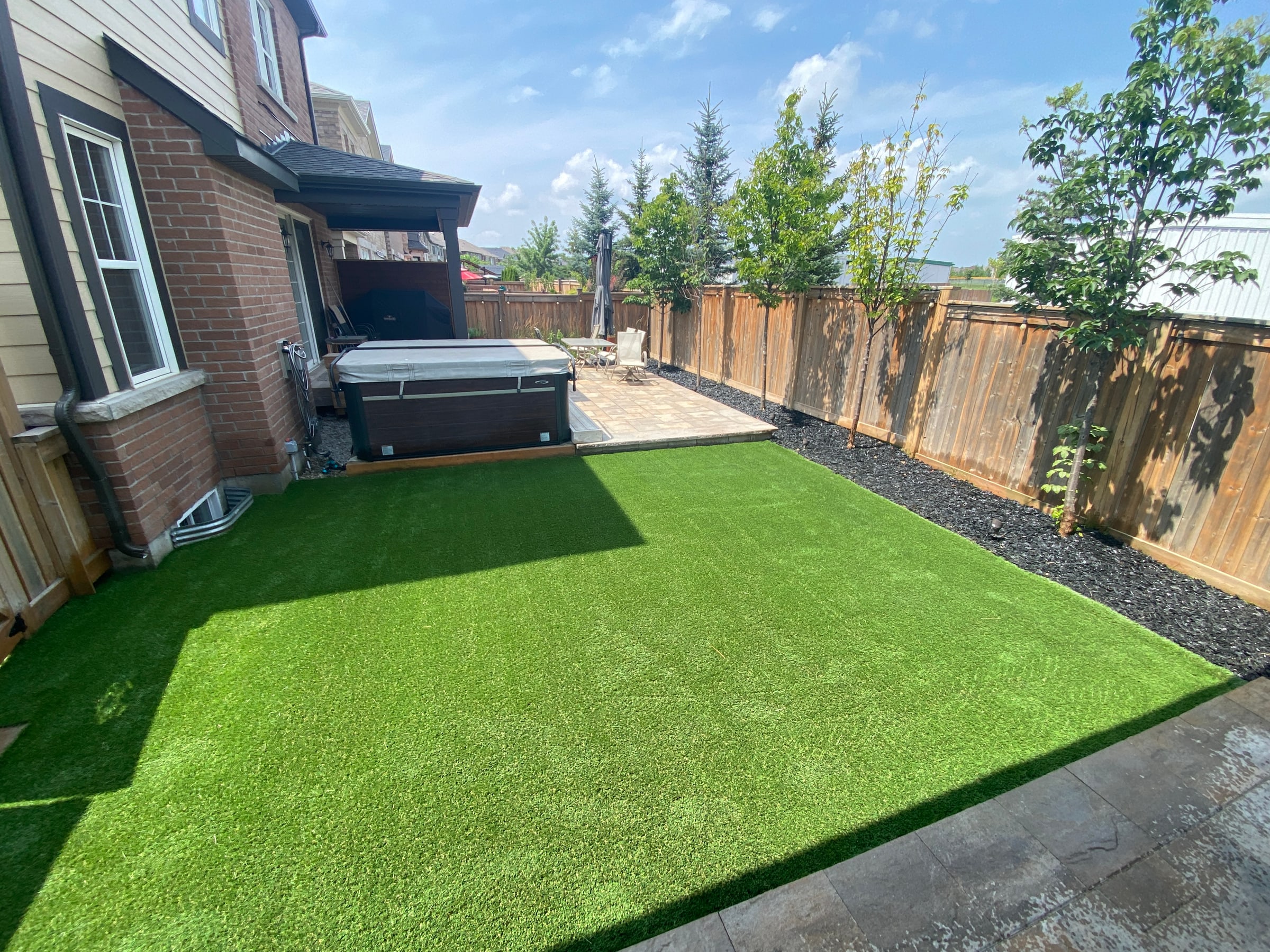Backyard turf no more mow